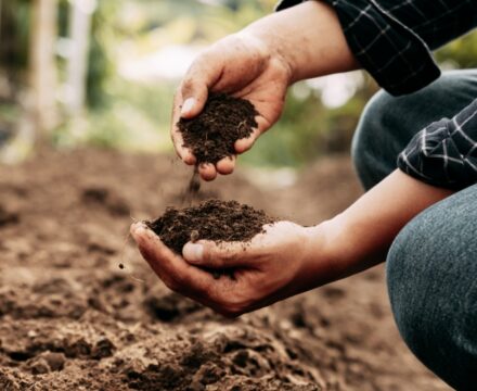 Soil Treatment