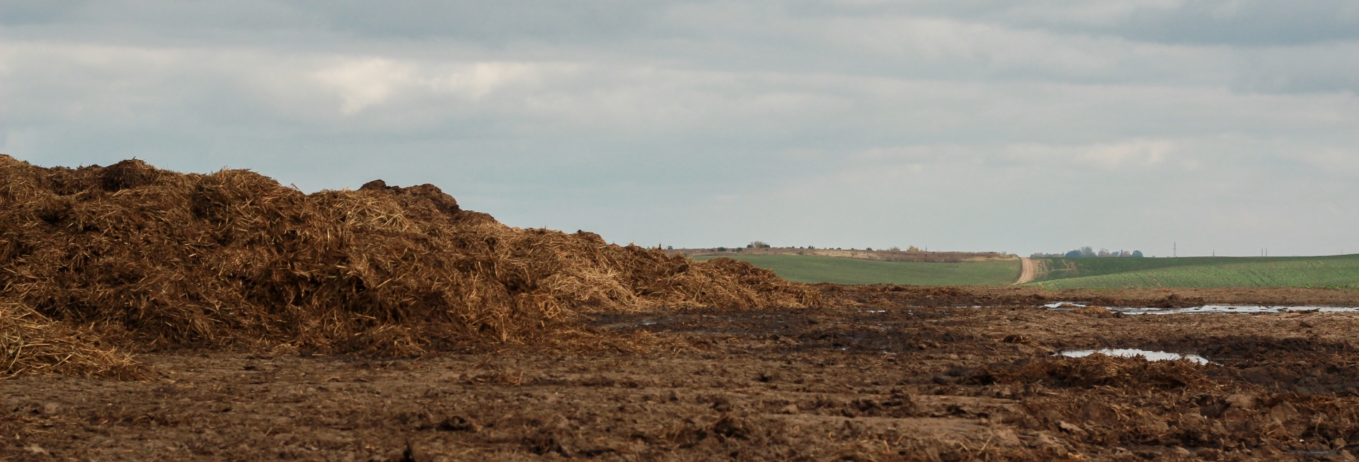 Soil Treatment