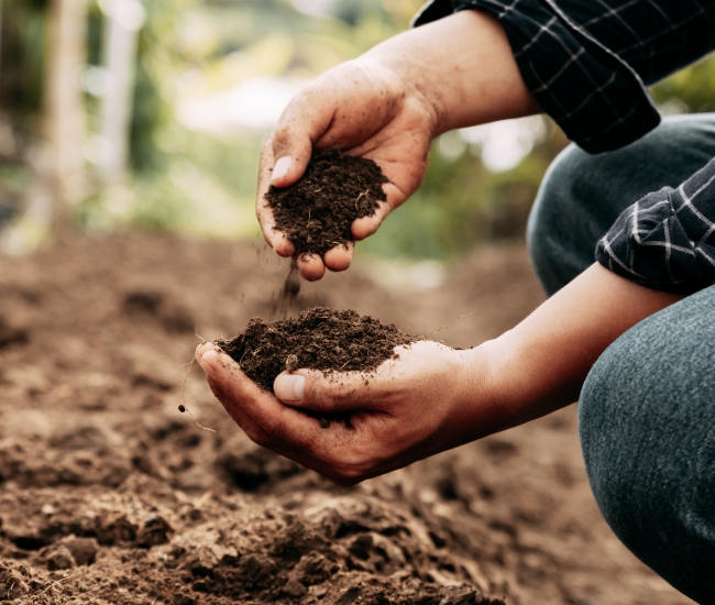 Soil Treatment